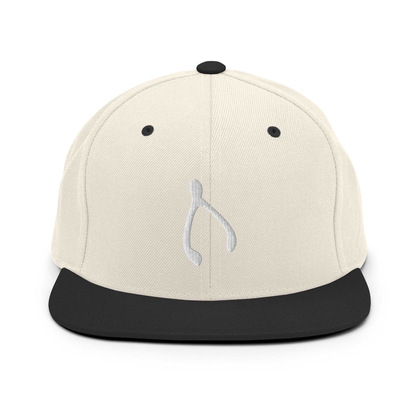 Snapback Wishes Hat - Monetary Exchange