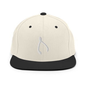 Snapback Wishes Hat - Monetary Exchange