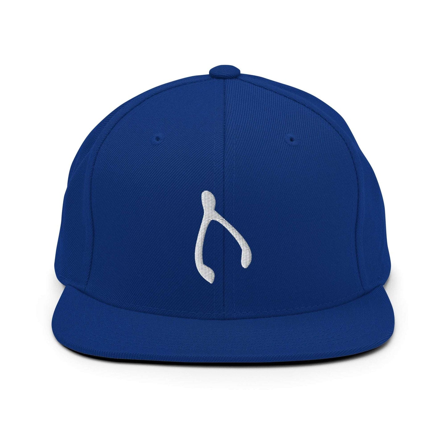 Snapback Wishes Hat - Monetary Exchange