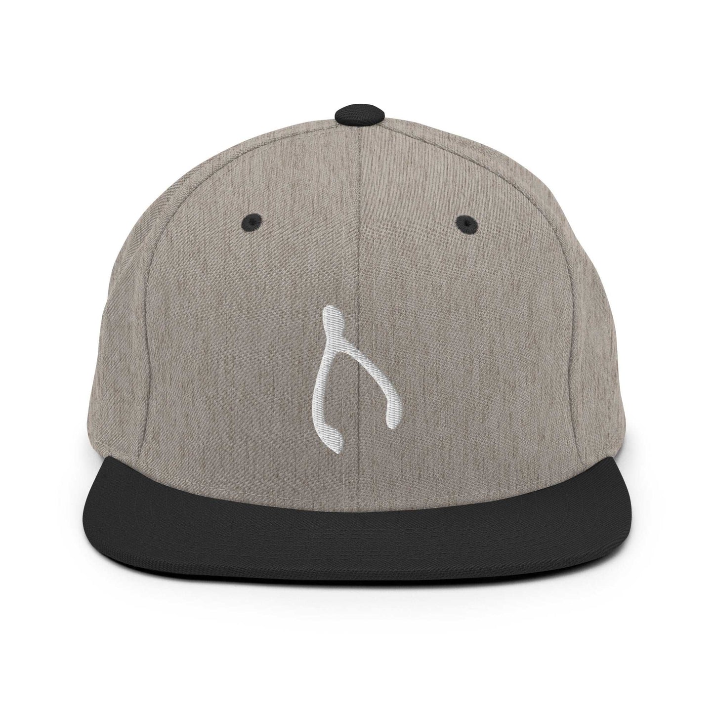 Snapback Wishes Hat - Monetary Exchange